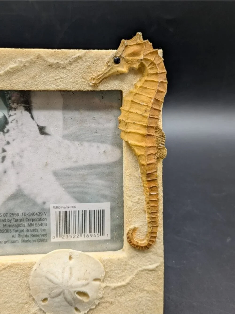 Sea Horse and Sand Dollar Sea Life Picture Frame Holds 4x6 Photo Beach Sand